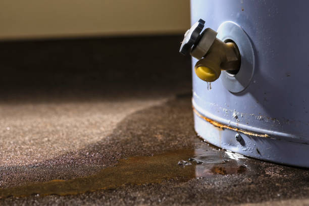 Best Flood damage cleanup  in Monument Hills, CA