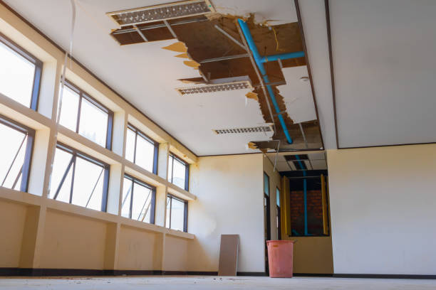 Best Carpet water damage restoration  in Monument Hills, CA