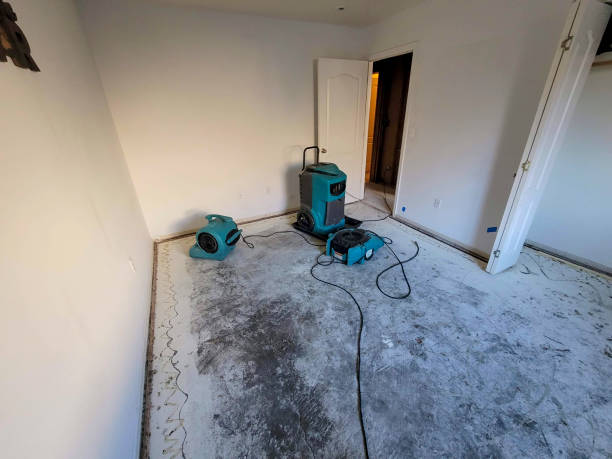 24/7 water damage repair in Monument Hills, CA