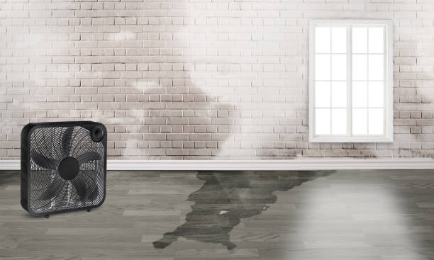 Best 24-hour water damage restoration  in Monument Hills, CA
