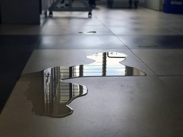 Best Water damage contractors near me  in Monument Hills, CA