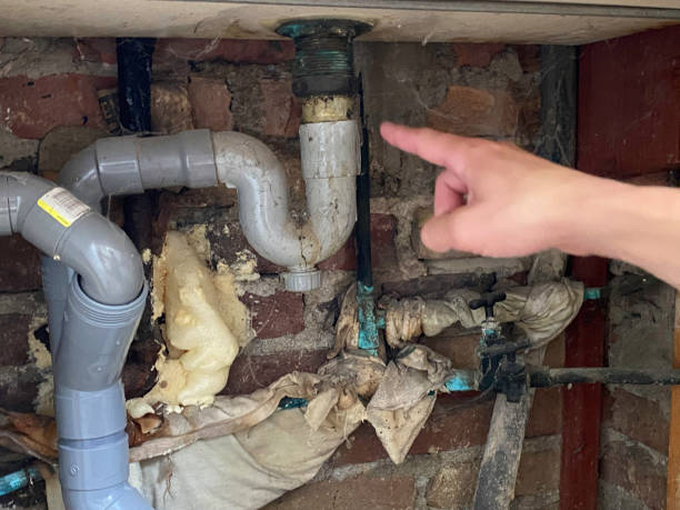 Best Water damage cleanup near me  in Monument Hills, CA