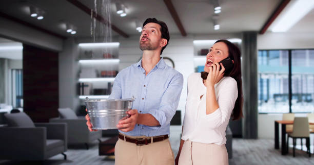 Professional Water damage restoration in Monument Hills, CA