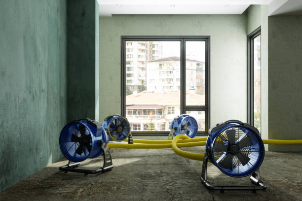 Best Water damage restoration services  in Monument Hills, CA